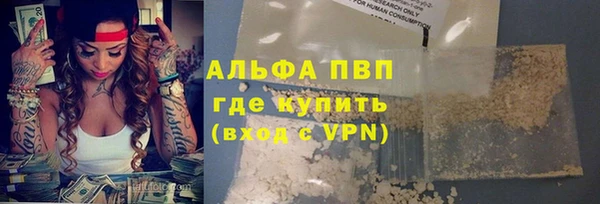 сатива Абаза