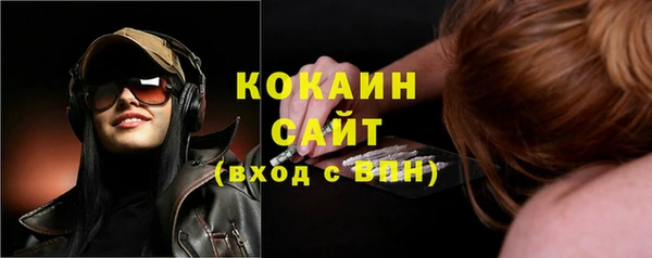 стаф Абинск