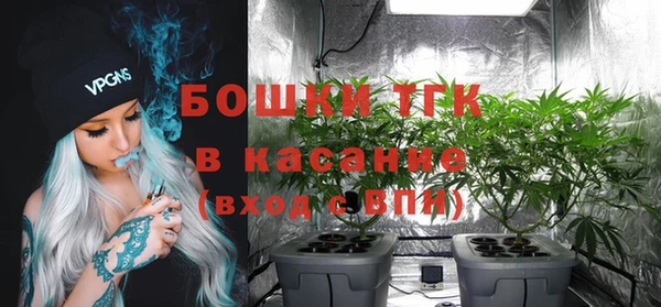 прущие грибы Алексеевка