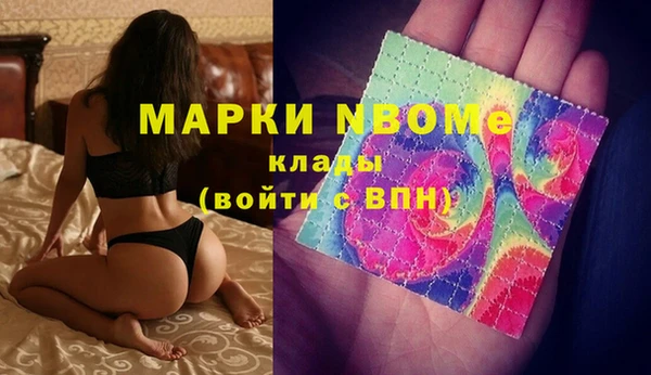 индика Алзамай