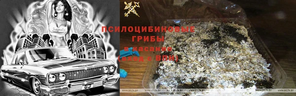 прущие грибы Алексеевка