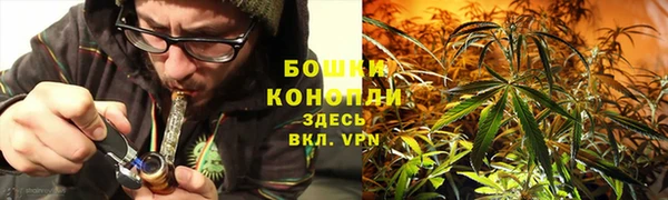 PSILOCYBIN Абдулино