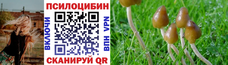 наркота  Козловка  Галлюциногенные грибы ЛСД 